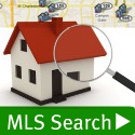 MLS Search