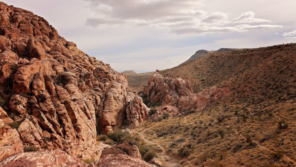 Nevada Desert