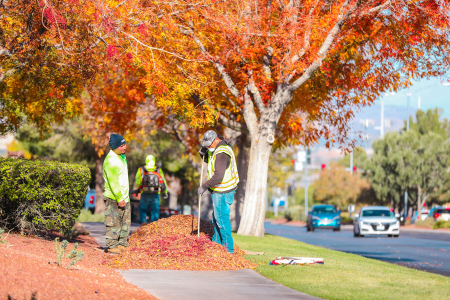 Handymen rake fallen leaves in the affluent Las Vegas Valley area neighborhood of Seven Hills on a beautiful Autumn morning. Henderson, Nevada, November 13, 2019. Photo credit: Chara Stagram / Shutterstock.com, licensed.