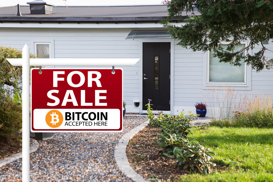 Real Estate Scharfsinn